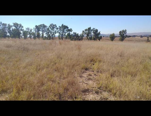 FARM FOR SALE IN LANSERIA